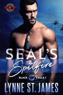 SEAL's Spitfire