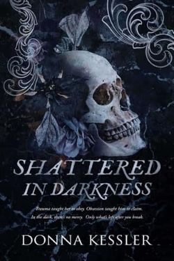 Shattered In Darkness
