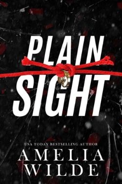 Plain Sight