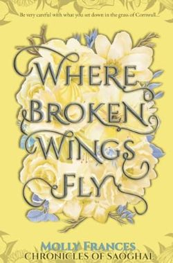 Where Broken Wings Fly