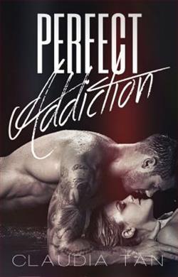 Perfect Addiction (Perfect 2)