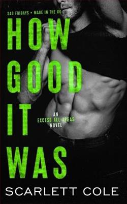 How Good It Was (Excess All Areas 3)