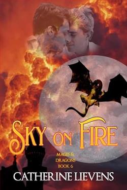 Sky on Fire by Catherine Lievens