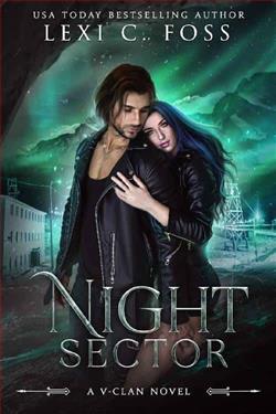 Night Sector by Lexi C. Foss
