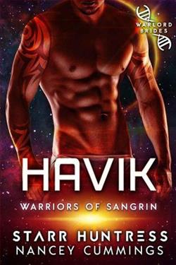Havik: Warlord Brides by Nancey Cummings