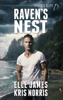 Raven's Nest by Elle James
