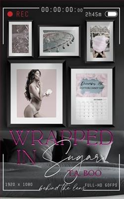 Wrapped in Sugar by T.A. Boo
