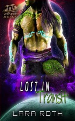 Lost in Transit by Lara Roth