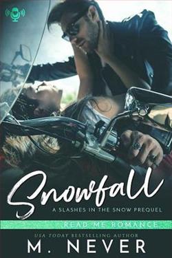 Snowfall by M. Never