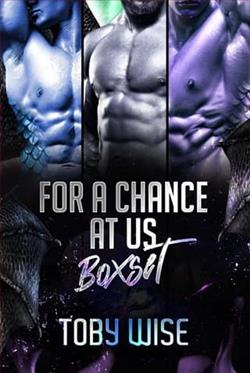 For A Chance At Us Boxset by Toby Wise